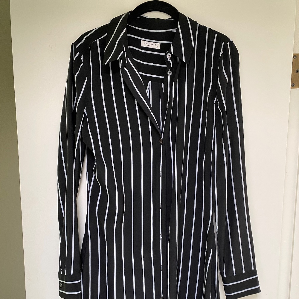 Equipment silk shirt dress